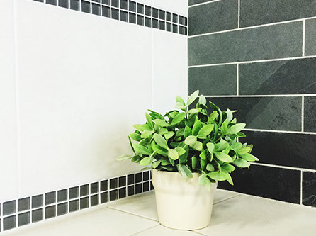 Rénobex Rénovation Construction