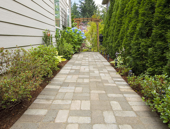 Rénobex Rénovation Construction